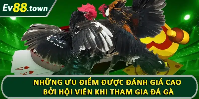 Những ưu điểm được đánh giá cao bởi hội viên khi tham gia cá cược